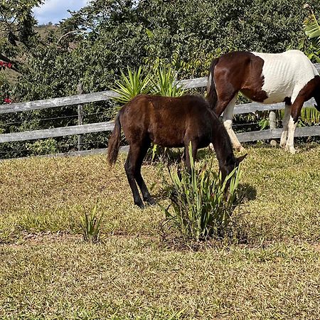 ホテル Fazenda Do Engenho Santa Rita do Rio Abaixo エクステリア 写真