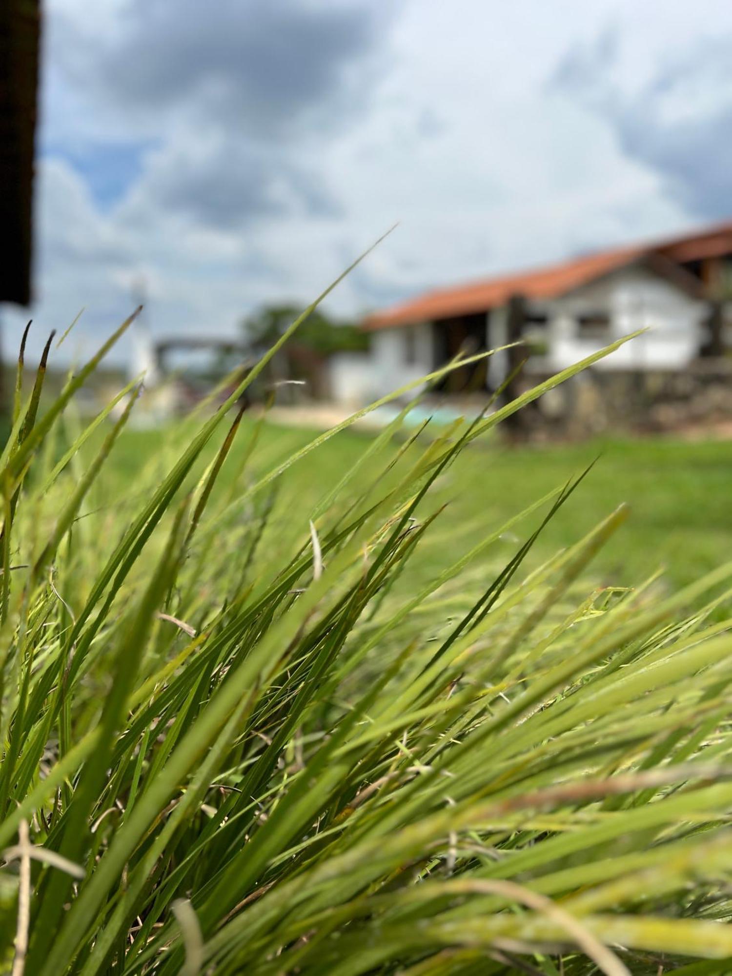 ホテル Fazenda Do Engenho Santa Rita do Rio Abaixo エクステリア 写真
