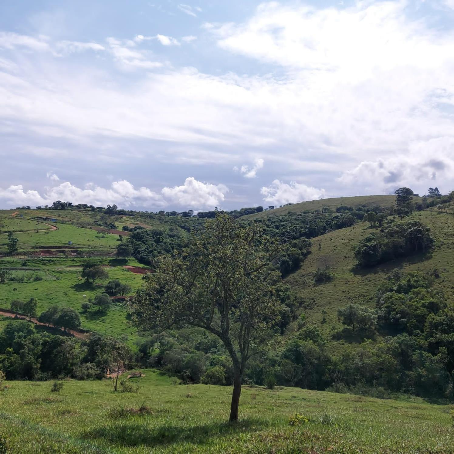ホテル Fazenda Do Engenho Santa Rita do Rio Abaixo エクステリア 写真