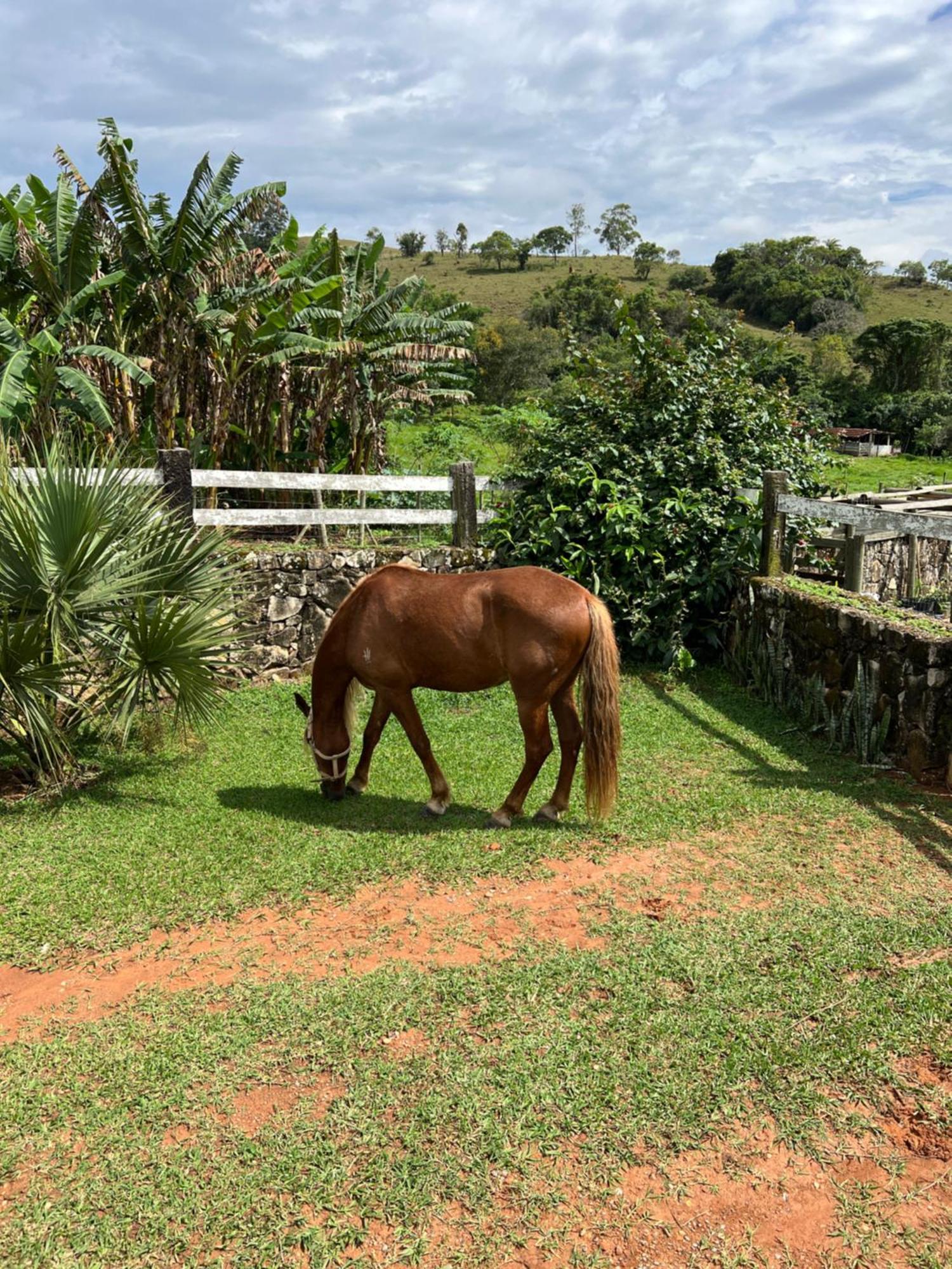 ホテル Fazenda Do Engenho Santa Rita do Rio Abaixo エクステリア 写真
