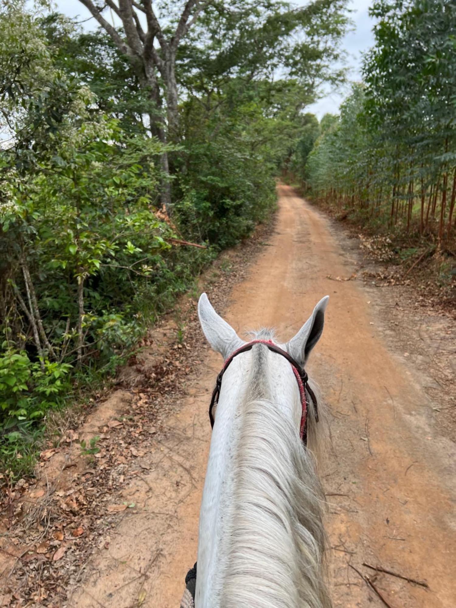 ホテル Fazenda Do Engenho Santa Rita do Rio Abaixo エクステリア 写真