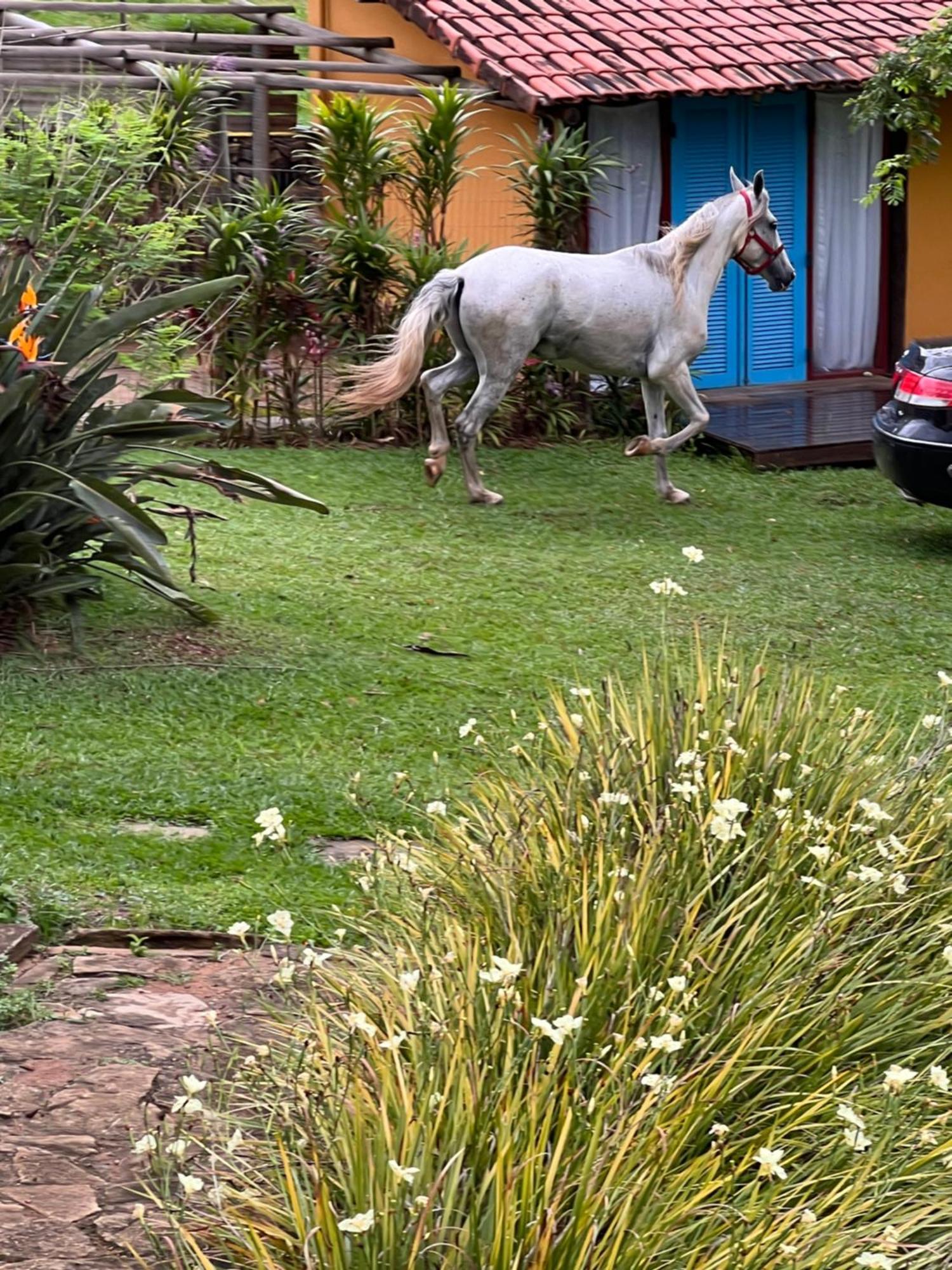 ホテル Fazenda Do Engenho Santa Rita do Rio Abaixo エクステリア 写真