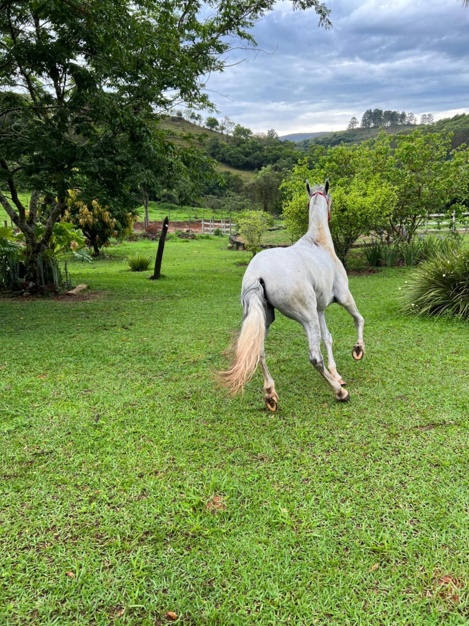 ホテル Fazenda Do Engenho Santa Rita do Rio Abaixo エクステリア 写真