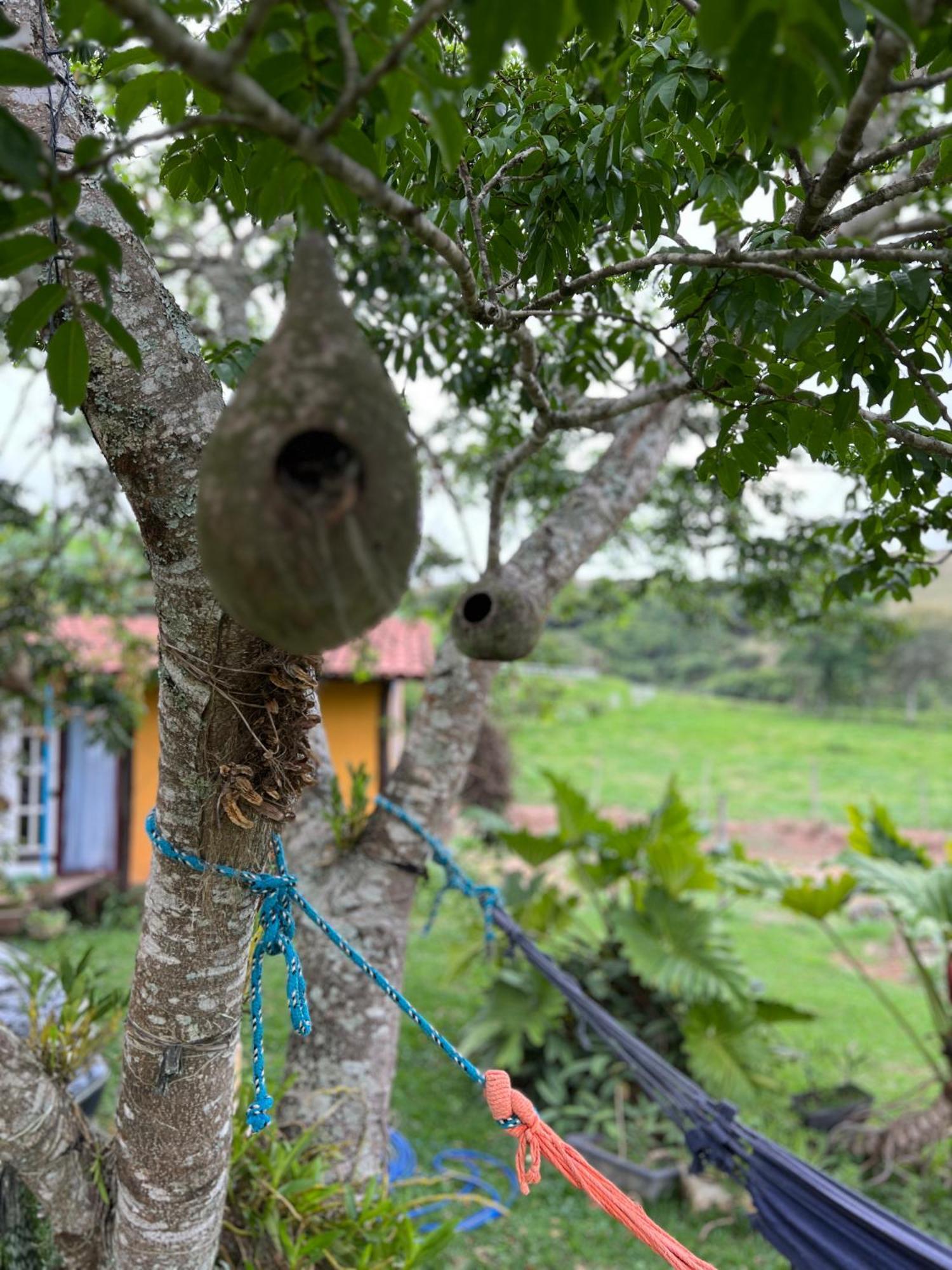 ホテル Fazenda Do Engenho Santa Rita do Rio Abaixo エクステリア 写真