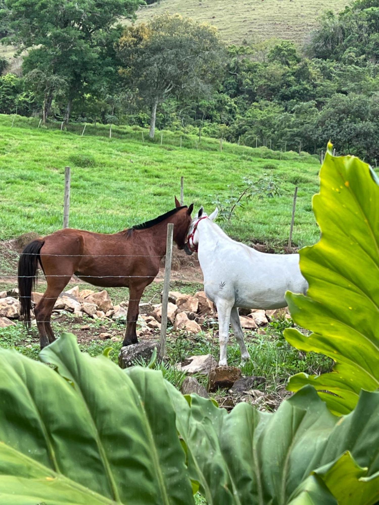 ホテル Fazenda Do Engenho Santa Rita do Rio Abaixo エクステリア 写真
