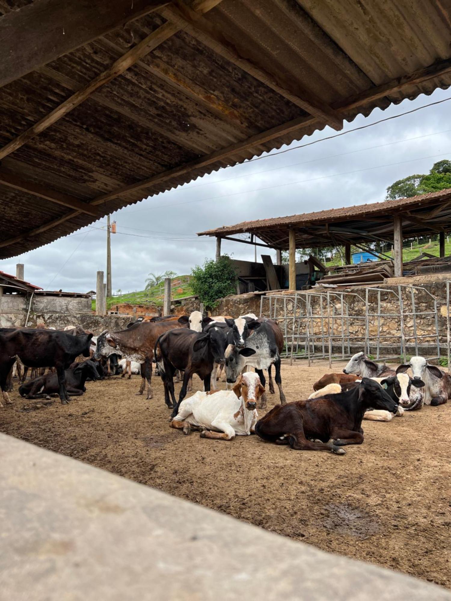 ホテル Fazenda Do Engenho Santa Rita do Rio Abaixo エクステリア 写真