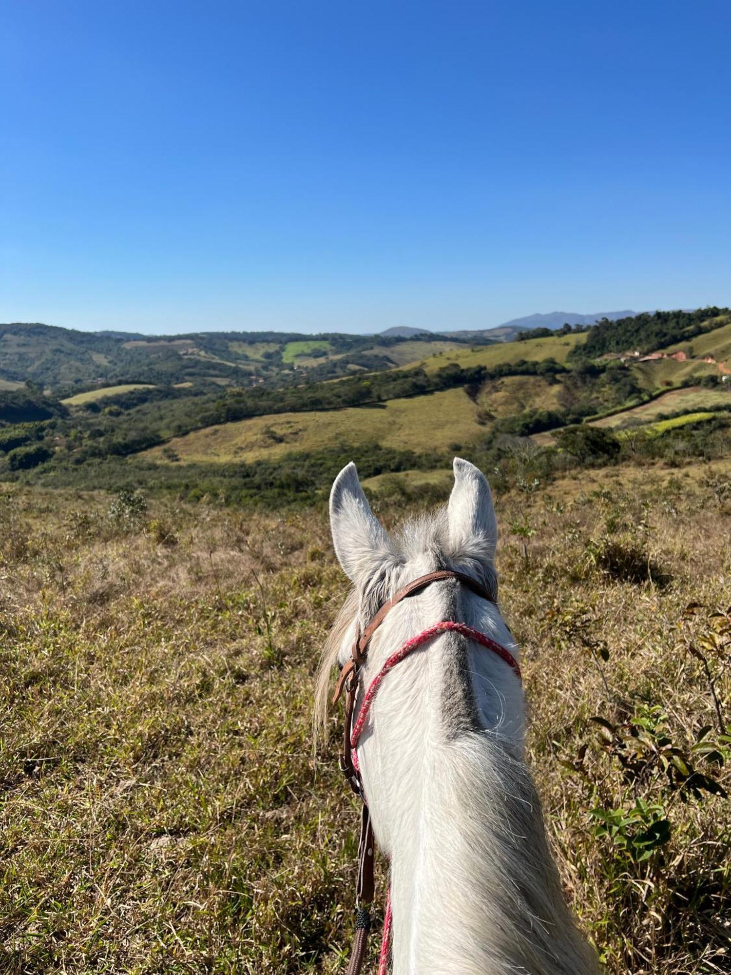 ホテル Fazenda Do Engenho Santa Rita do Rio Abaixo エクステリア 写真