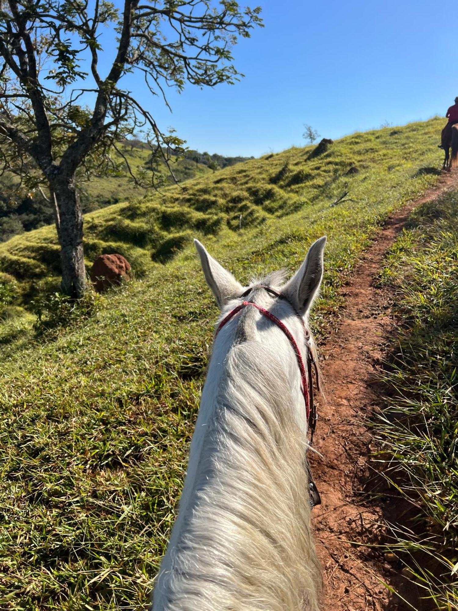 ホテル Fazenda Do Engenho Santa Rita do Rio Abaixo エクステリア 写真